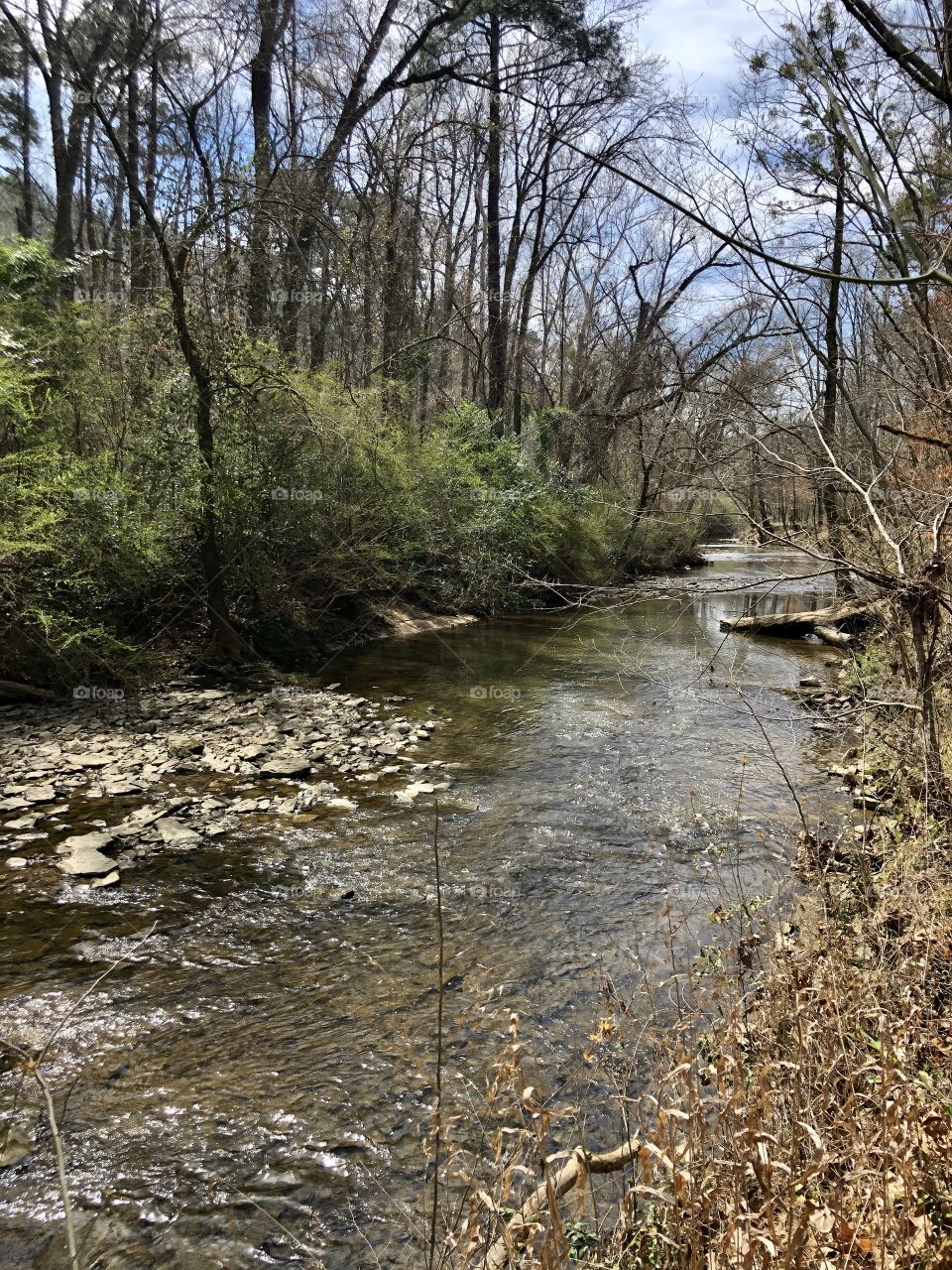 Clear flowing stream in woods 