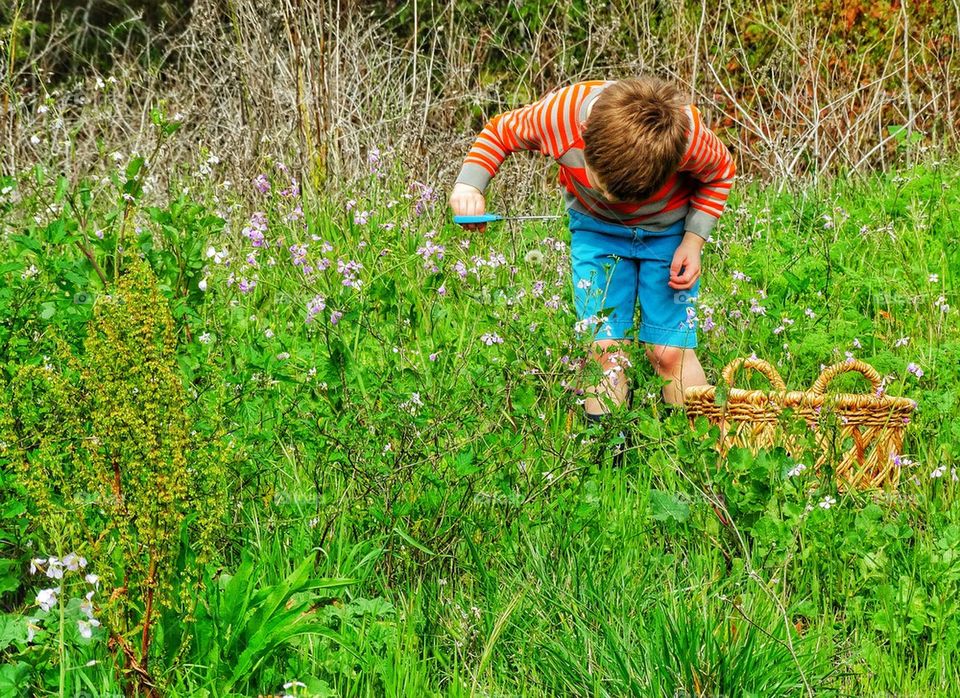 Boy picking wildflowers