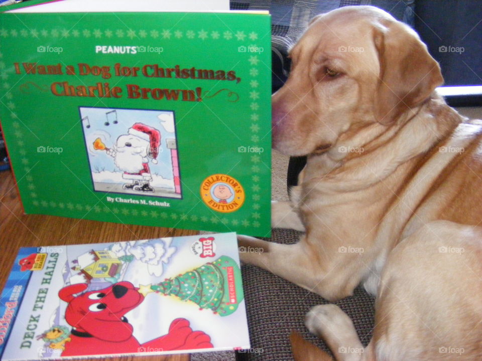 Ginger is reading a Charlie Brown book and will read the Clifford book next.
