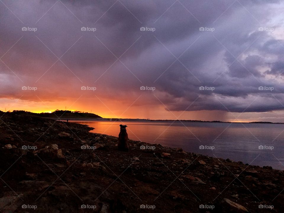 Folsom lake