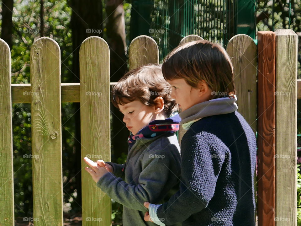 Little brothers standing near wooden fence