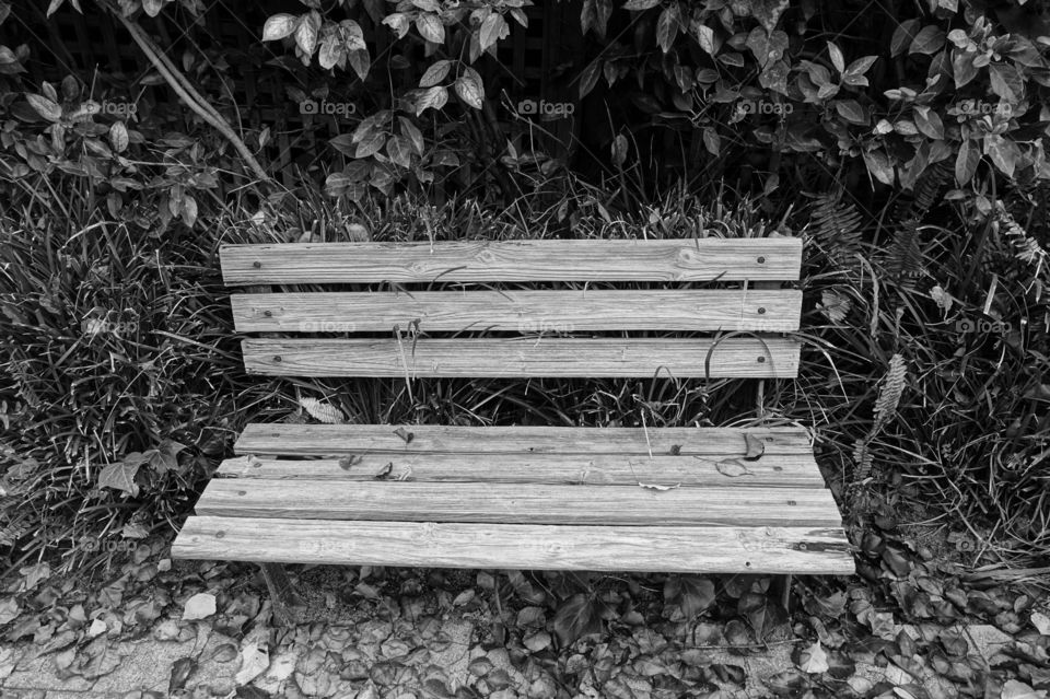 The front side of a wooden bench in the garden where fallen leaves and many grasses can be seen. Monochrome image.