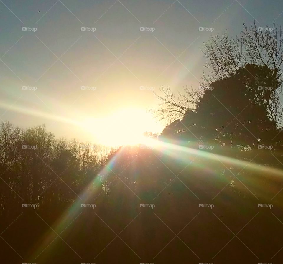 playing with the light