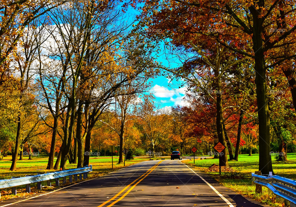 Car Driving Down The Road Through Autumn Foliage