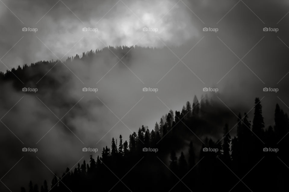 The sun was peaking through the clouds trying to warm the mountains after a heavy rain. The contrast of light between the dark forest, the rising mist & the breaking cloud cover well suited a black & white treatment for this shot. Eerie,but beautiful