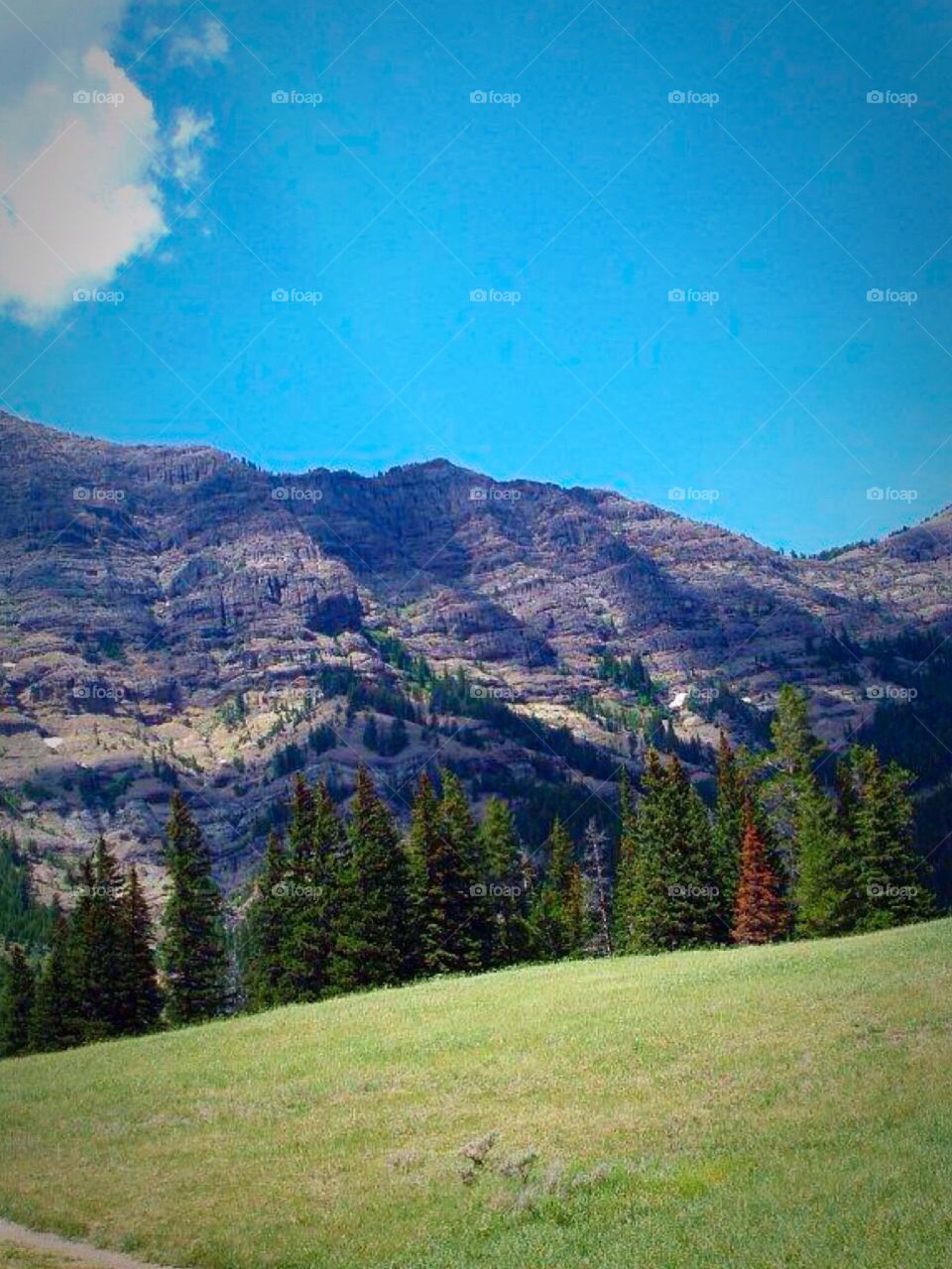 Rockies. Rocky Mountain Drive 