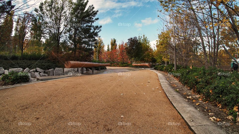 Otoño Autumn Madrid rio