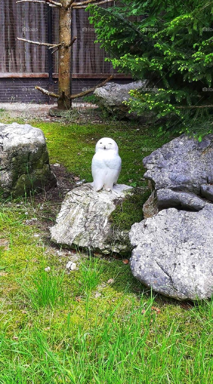 Hogwarts atmosphere around