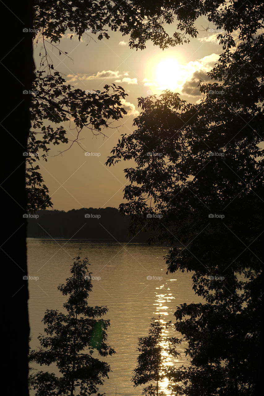 Sunset at the lake through the trees