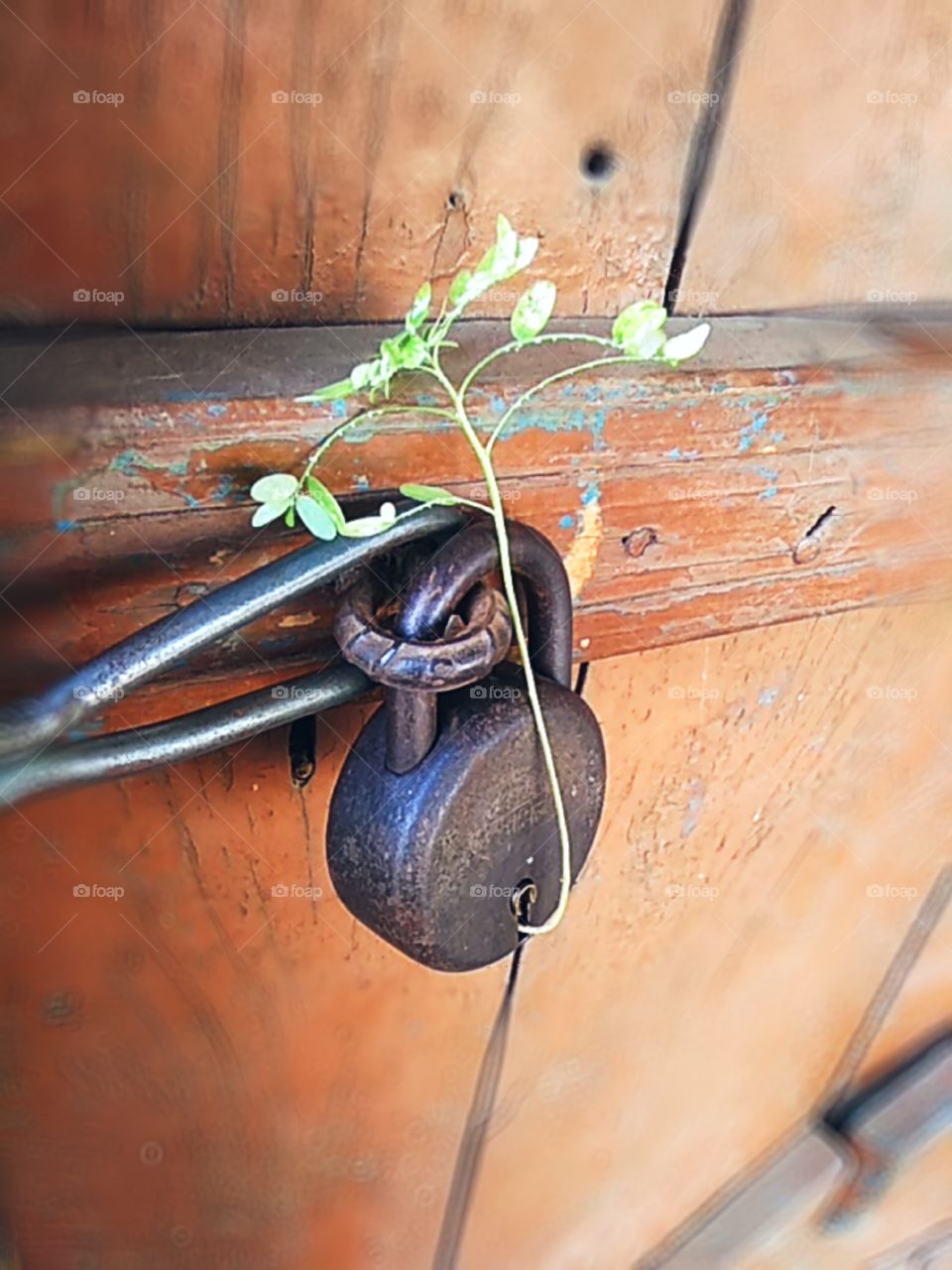 One should not give up hope because a ray of hope can emerge from anywhere.