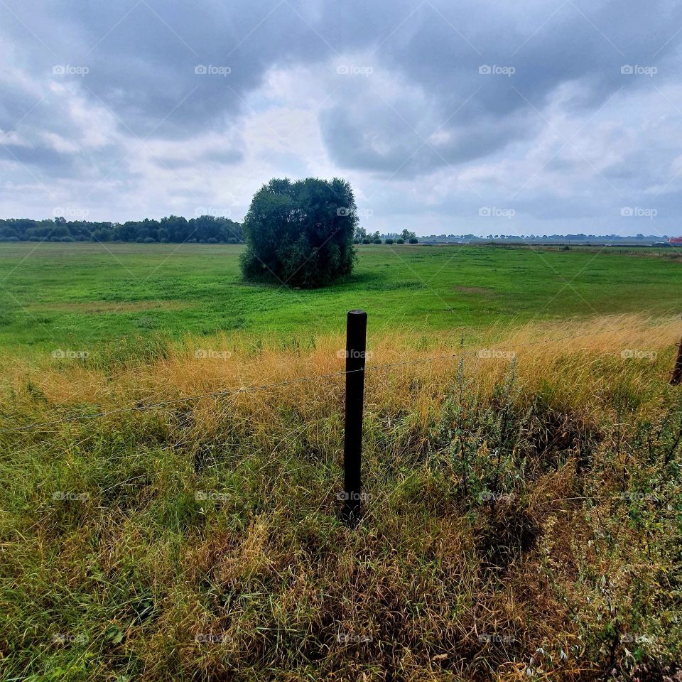 Nice view to the Rhine Germany.