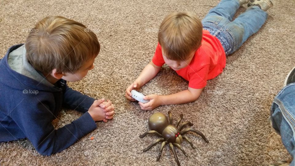 Boys playing with remote spider