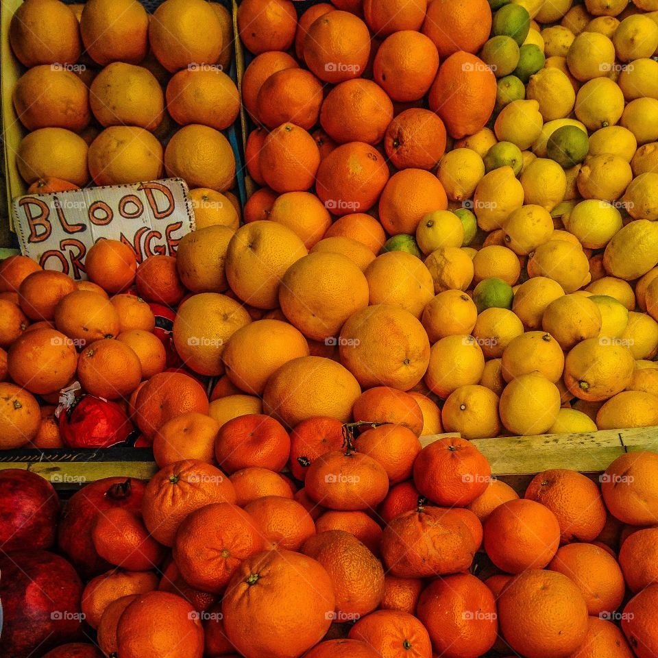 Oranges. Different types of oranges 