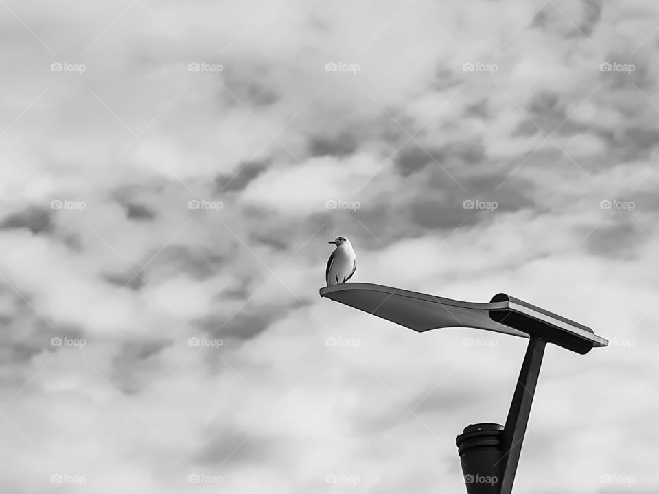 watching over the world