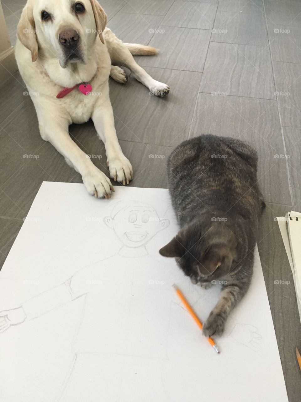 When pets play pictionary 