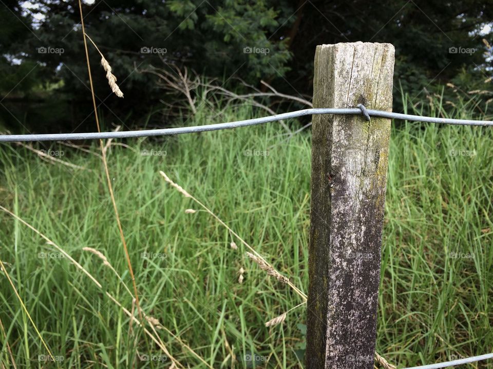 One Fence Post
