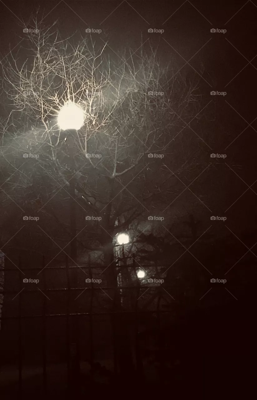 Walk in night