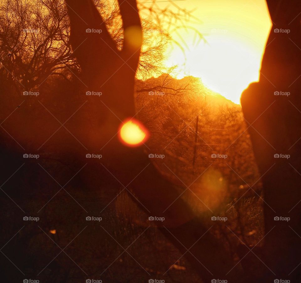 sunset and silhouette