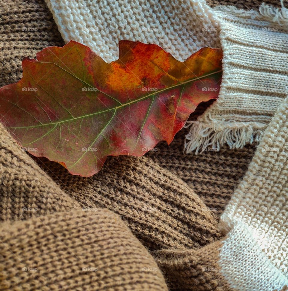 Autumn is cozy sweater season