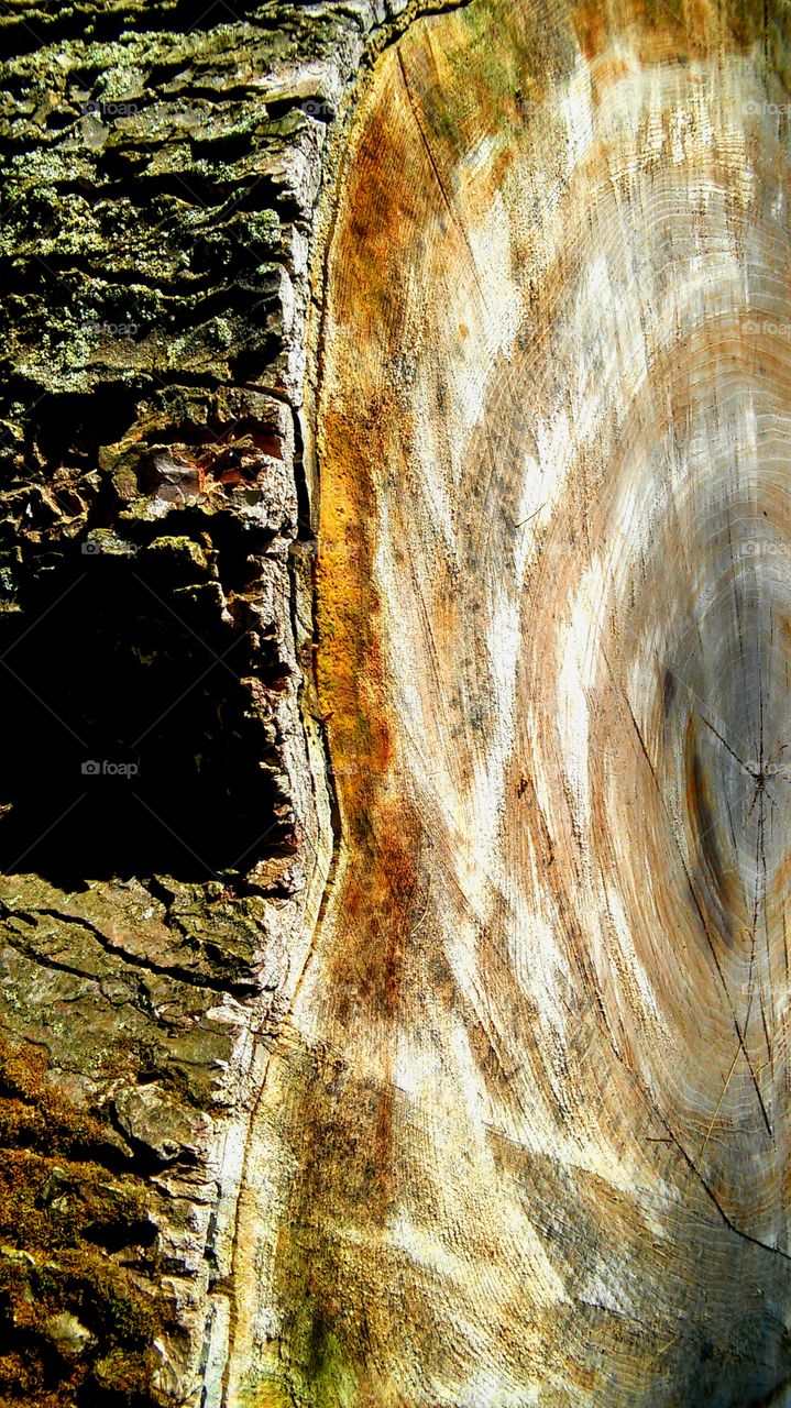 Texture, Desktop, Nature, No Person, Abstract