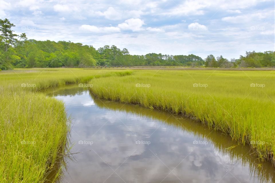 Marshy stream with tall grass in each side and reflection of the sky in the water
