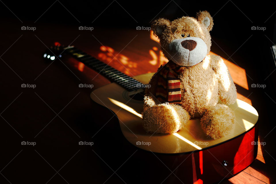 teddy bear on guitar