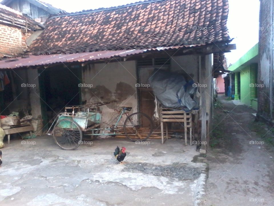 The condition of Javanese house