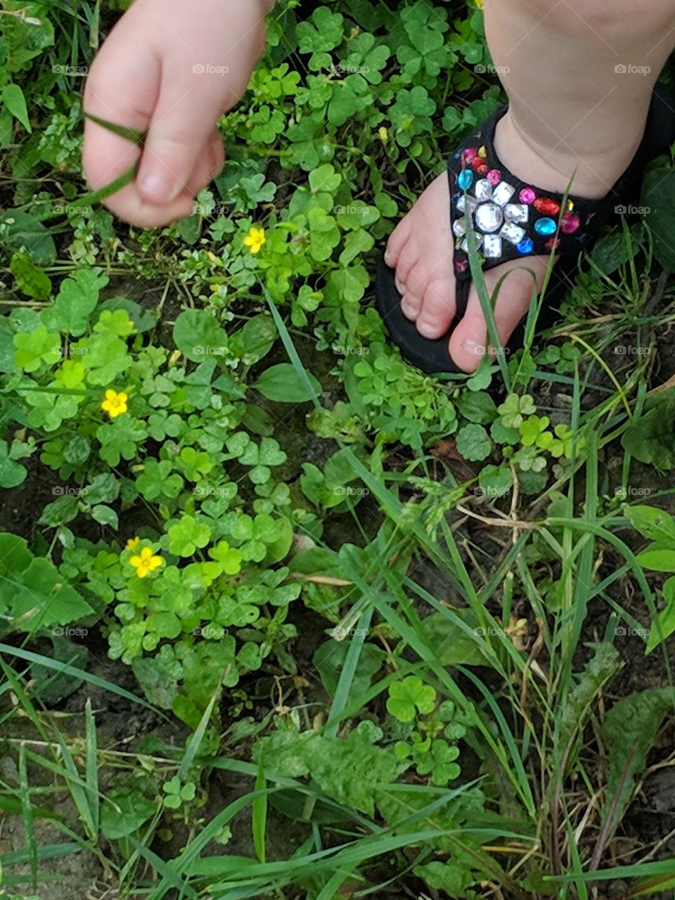 clover and baby toes
