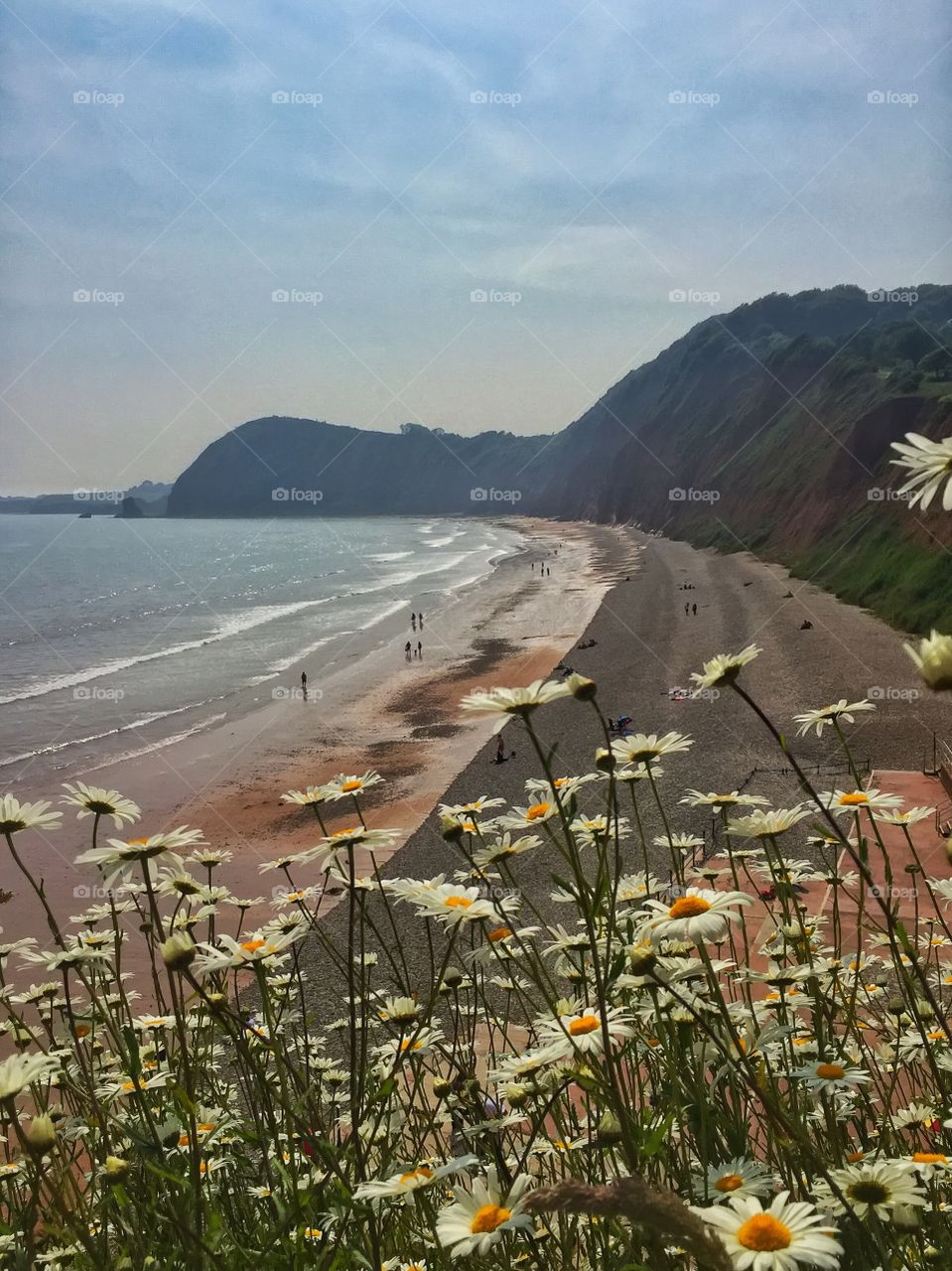 Scenic view of beach