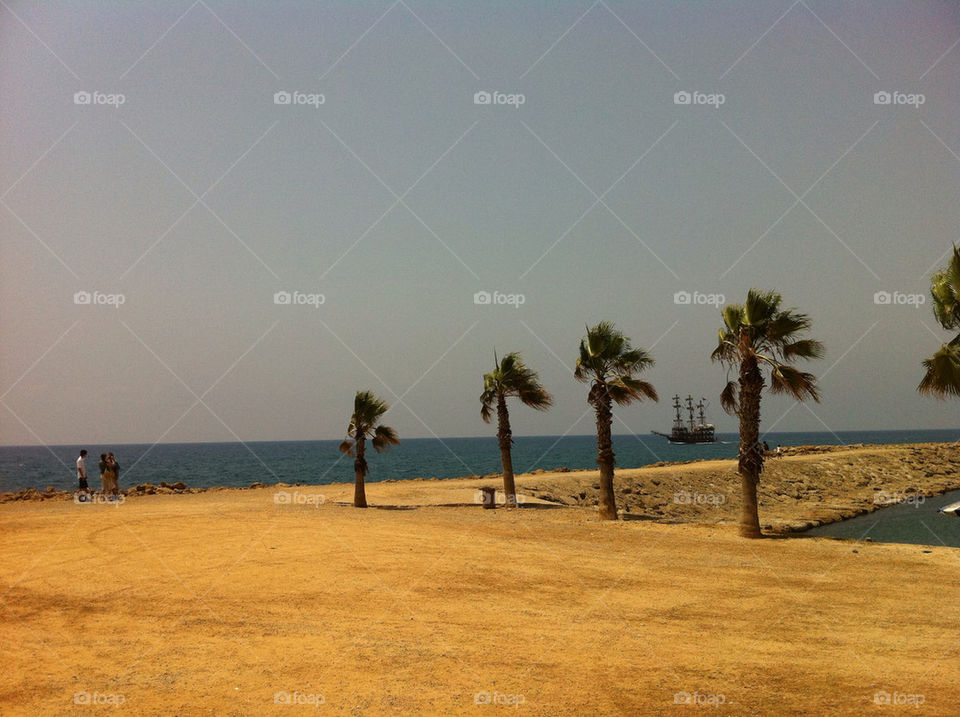 beach ocean tree palm by johnoyvind