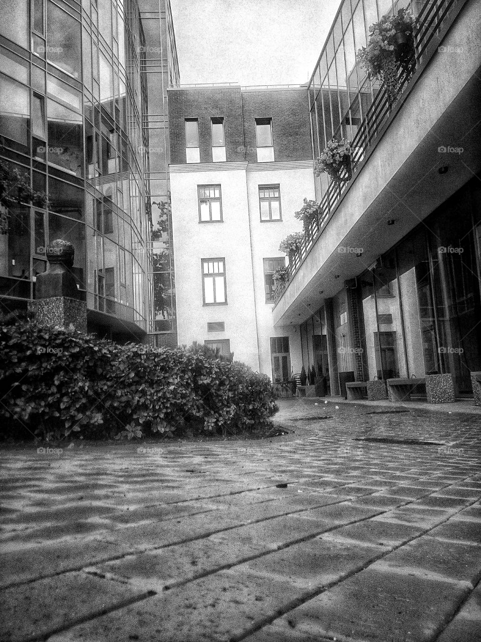 "The most colorful thing in the world is black and white, it contains all colors and at the same time excludes all."
~ Vikrmn, 10 Alone