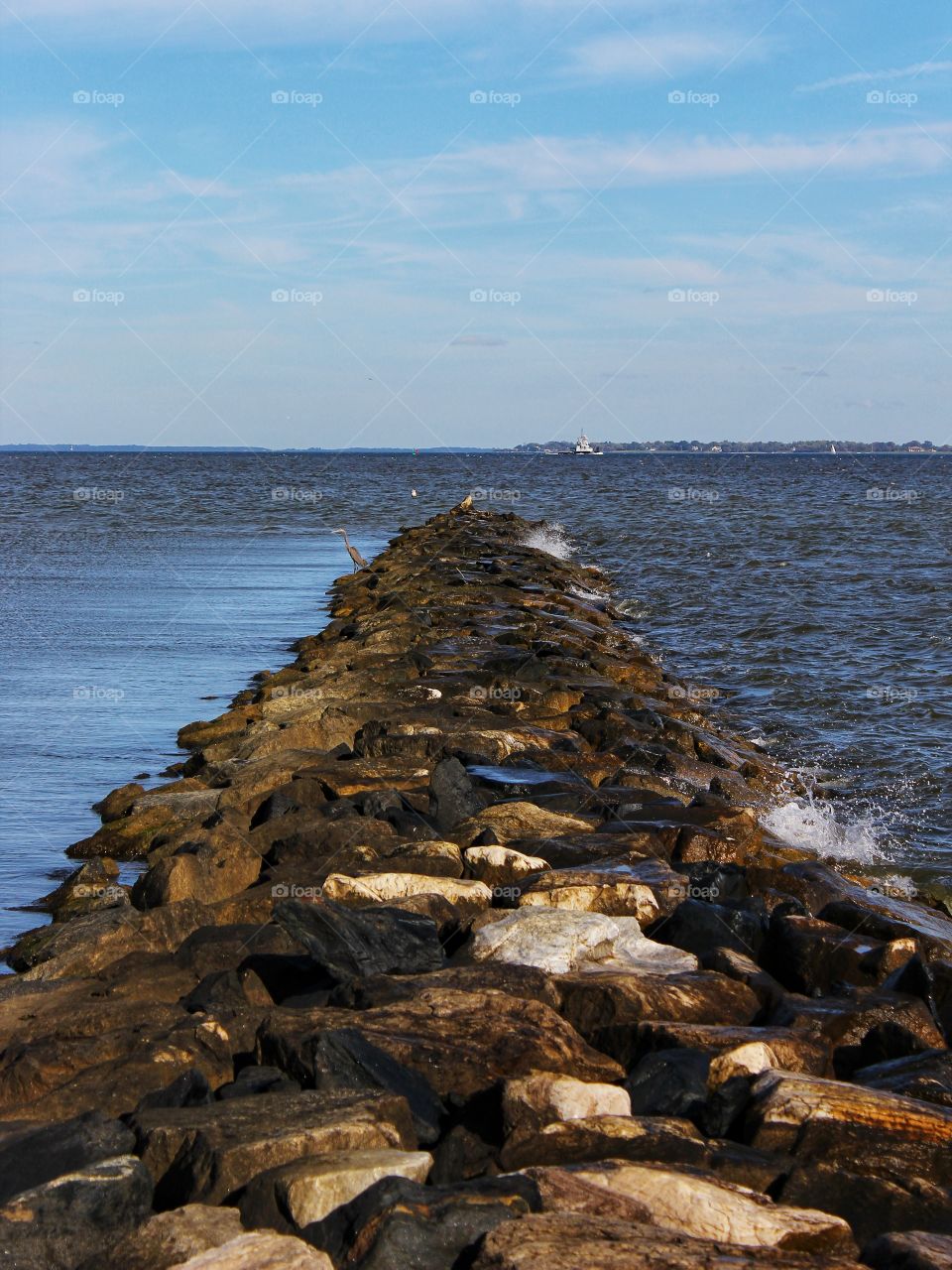 Jetty into the Water and Crane Hunting