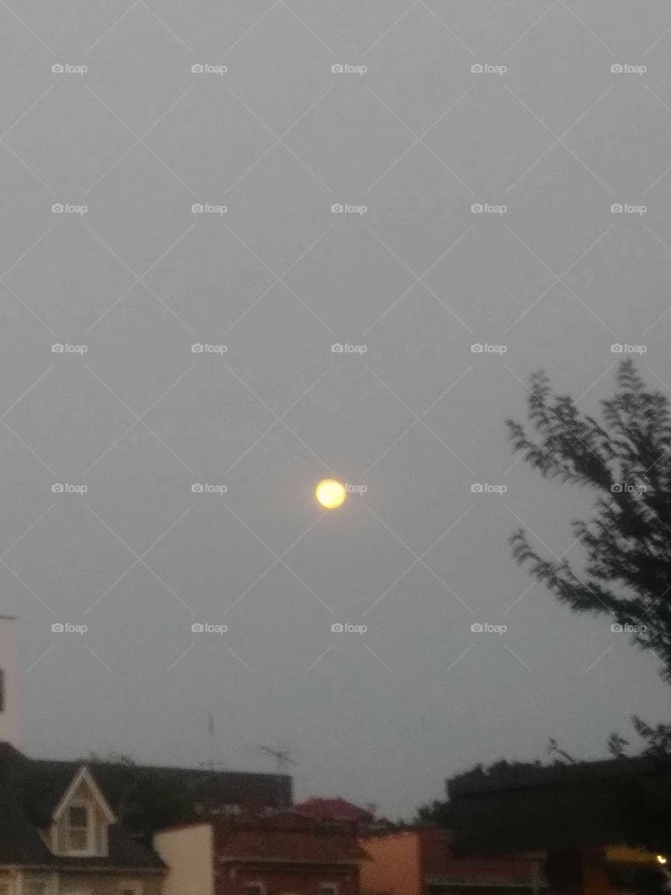 moon at dawn a yellow moon at dawn