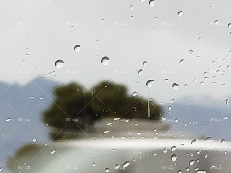 driving in a rainstorm