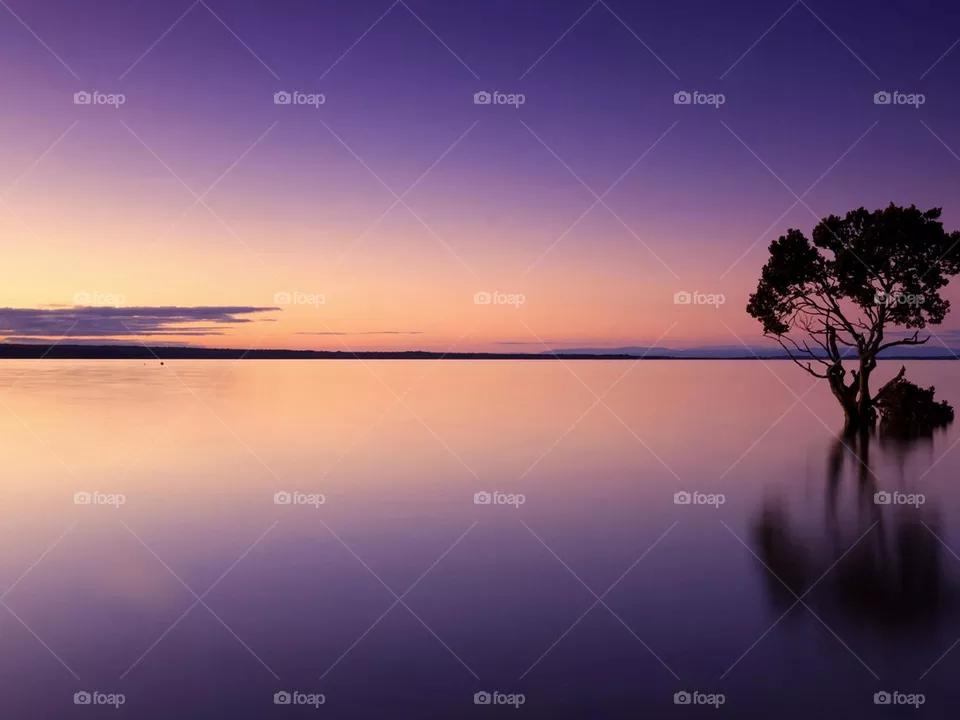 beautiful sunset