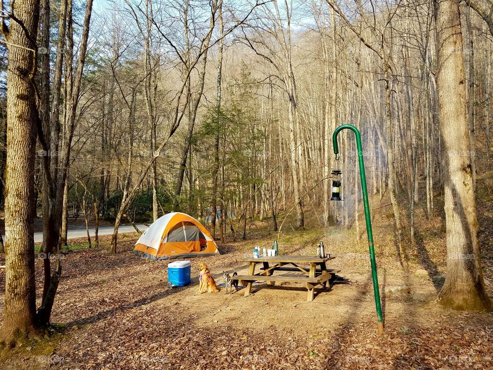 Camping in WV