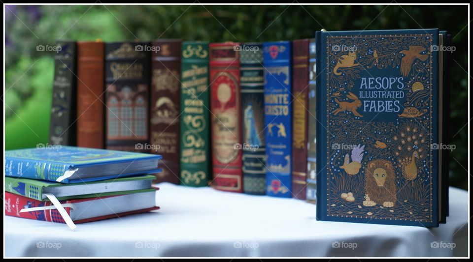Aesop's Fables Leatherbound Classic. Barnes and Noble's Leatherbound Classic series