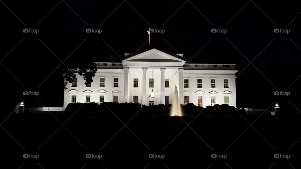 The White House