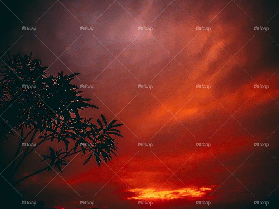 Savoring the magical moments as the sun kisses the day goodbye. Here's to the beauty of endings that bring the promise of new beginnings. 🌅