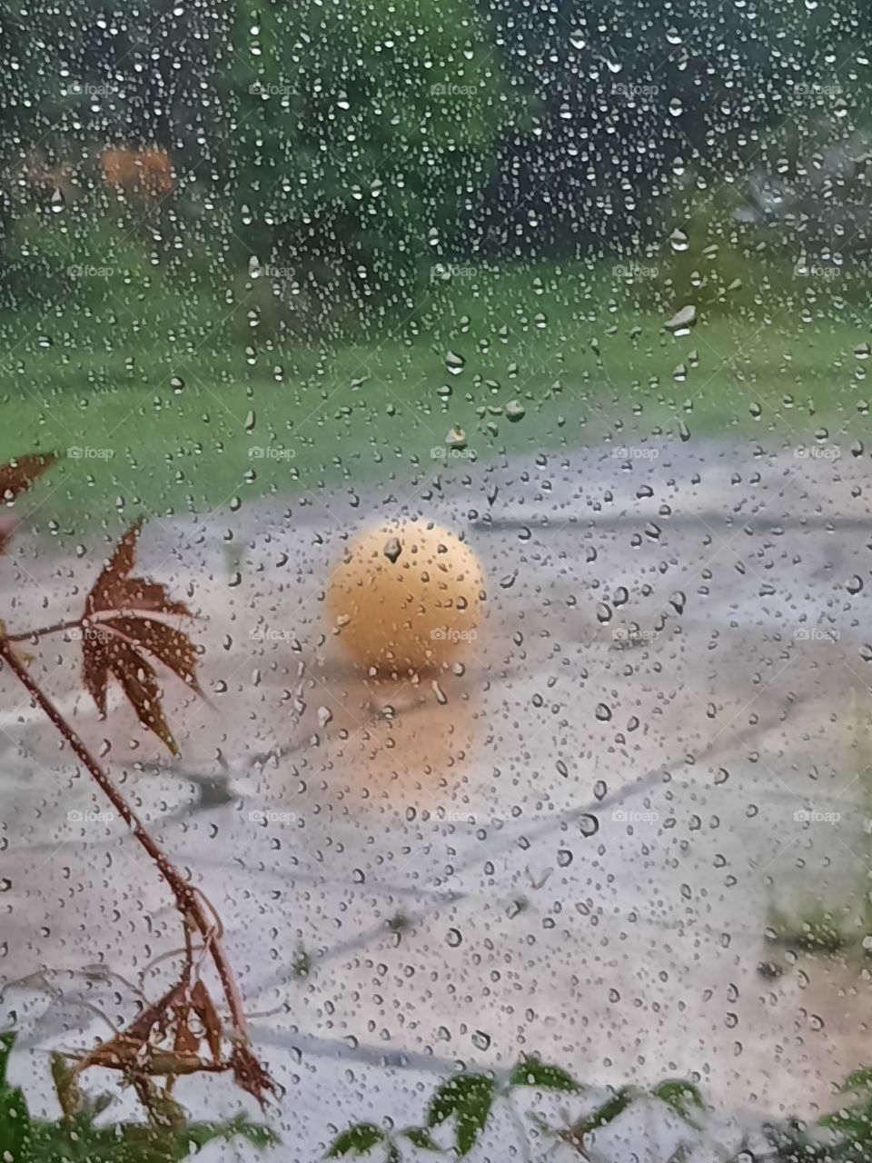 yellow ball in summer rain