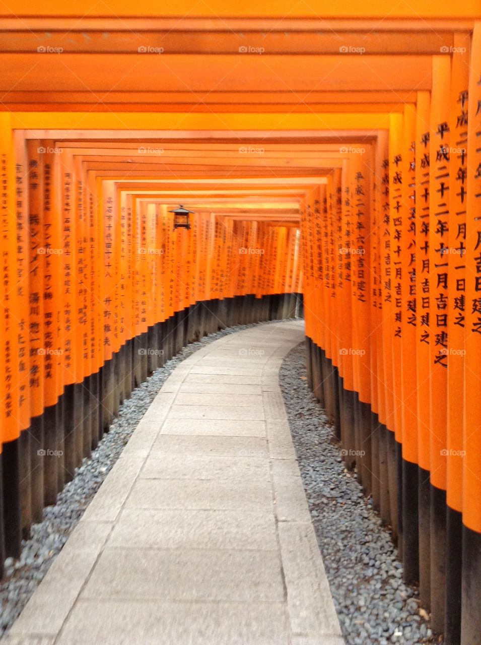 Fushima Inari Taisha . A trip down to Kyoto and this shrine was a must see! The torii gates are beautiful. 