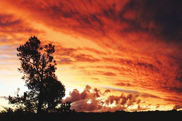 beautiful sunset