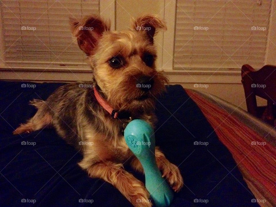 My gal and her new toy 