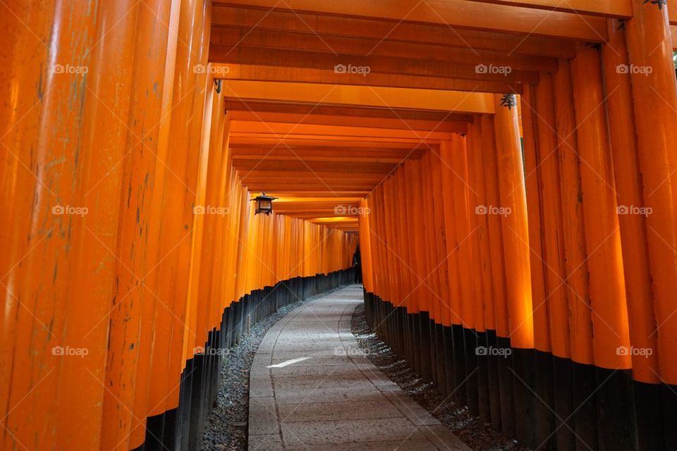 Torii gate in Fushimi Inari shrine