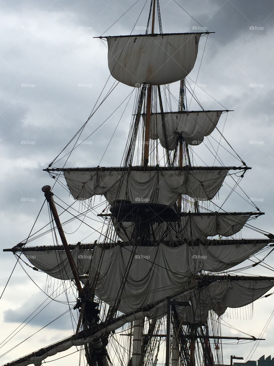 L'HERMIONE Tall Ships 2015 P 