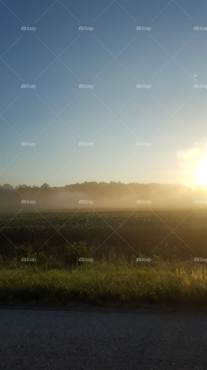 Landscape, Sun, Sunset, Fog, Dawn
