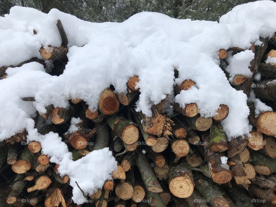 Snow on firewood 1