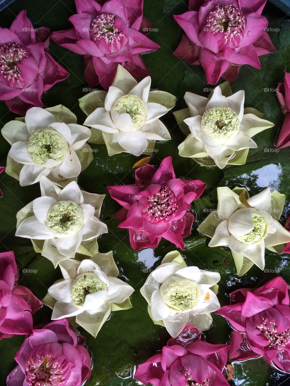 Folded flowers