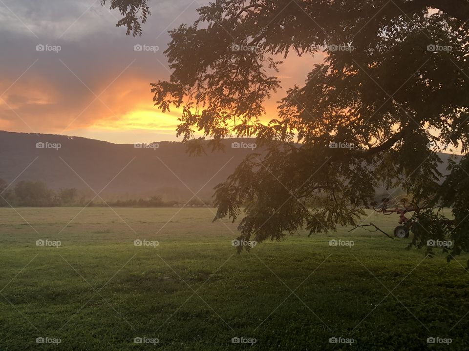 Natures beautiful firework