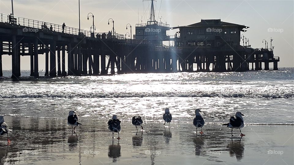 Santa Monica Beach pier, California